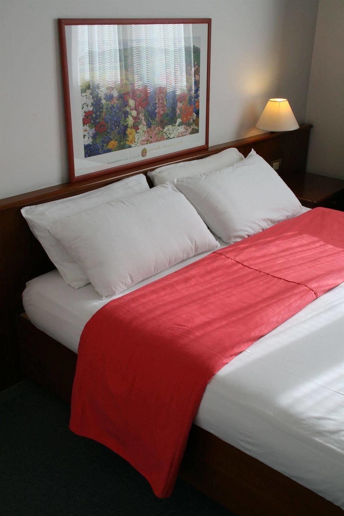 Hotel Al Giardino トレヴィーゾ エクステリア 写真